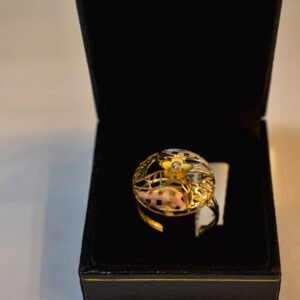 Indian made ladies rings